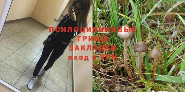a pvp Алексеевка